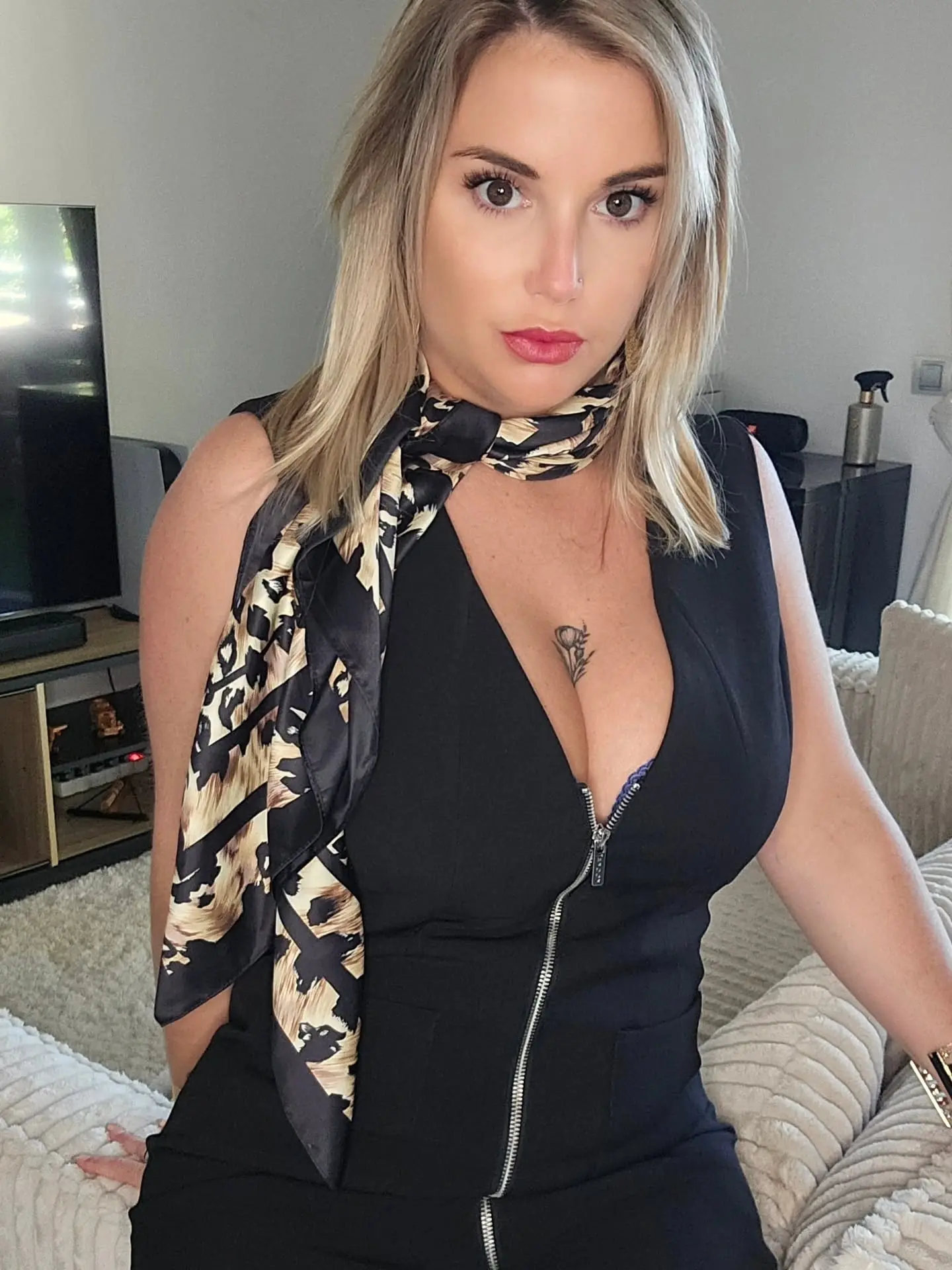 Velours et griffes - Image 4